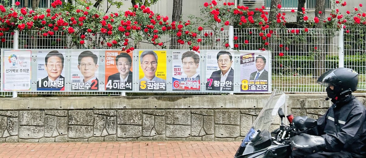 기사사진