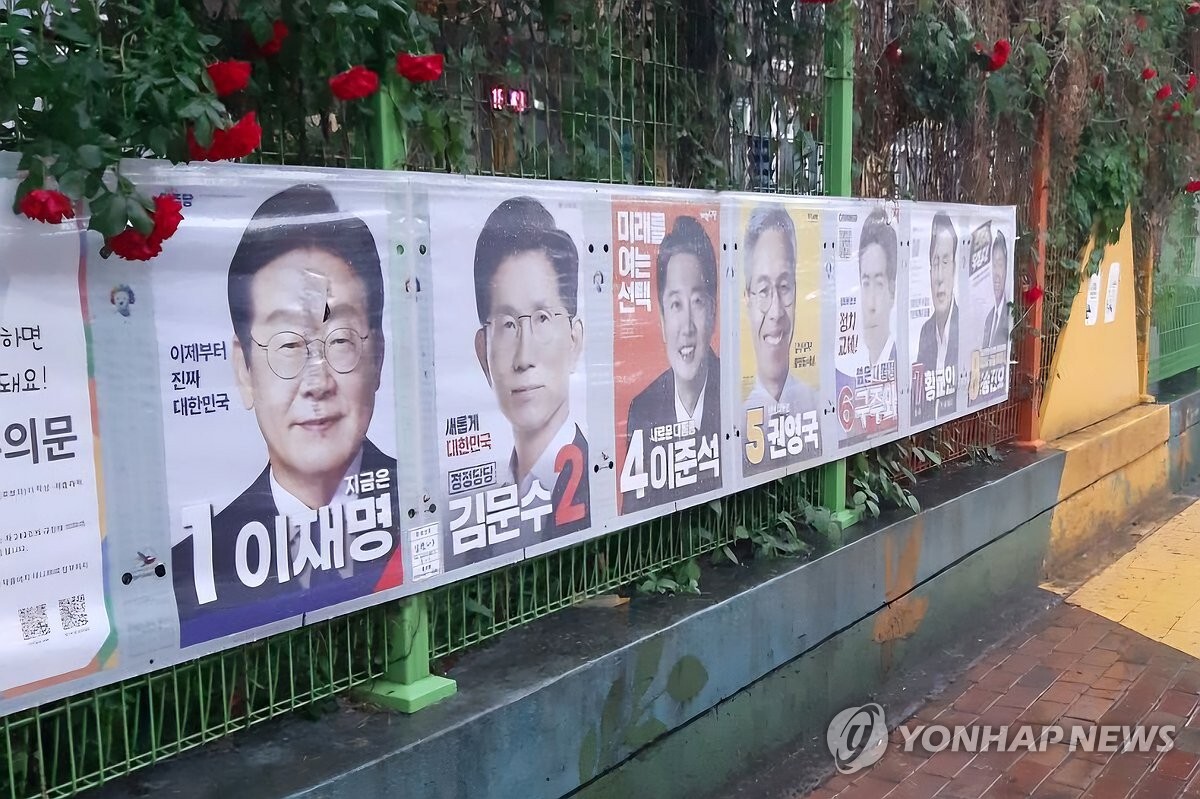 기사사진