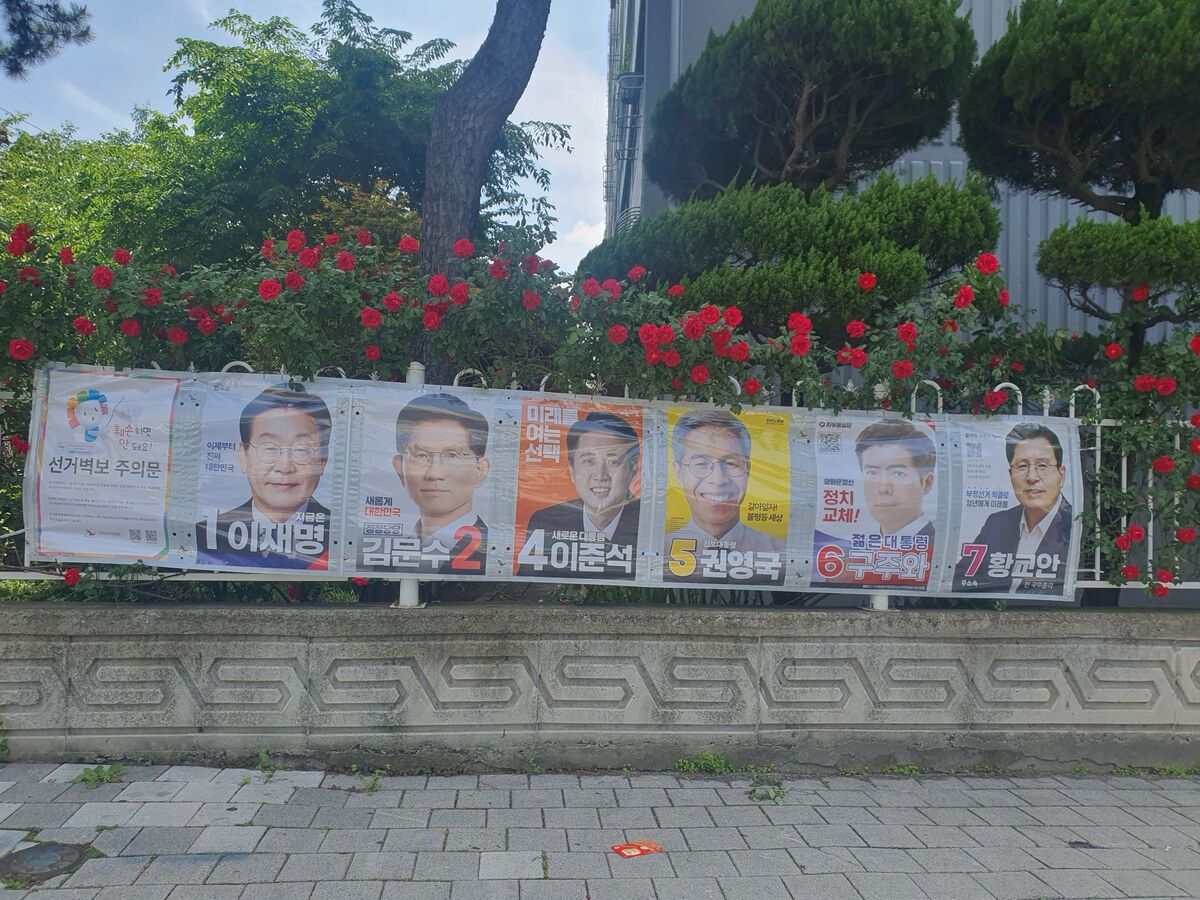 기사사진