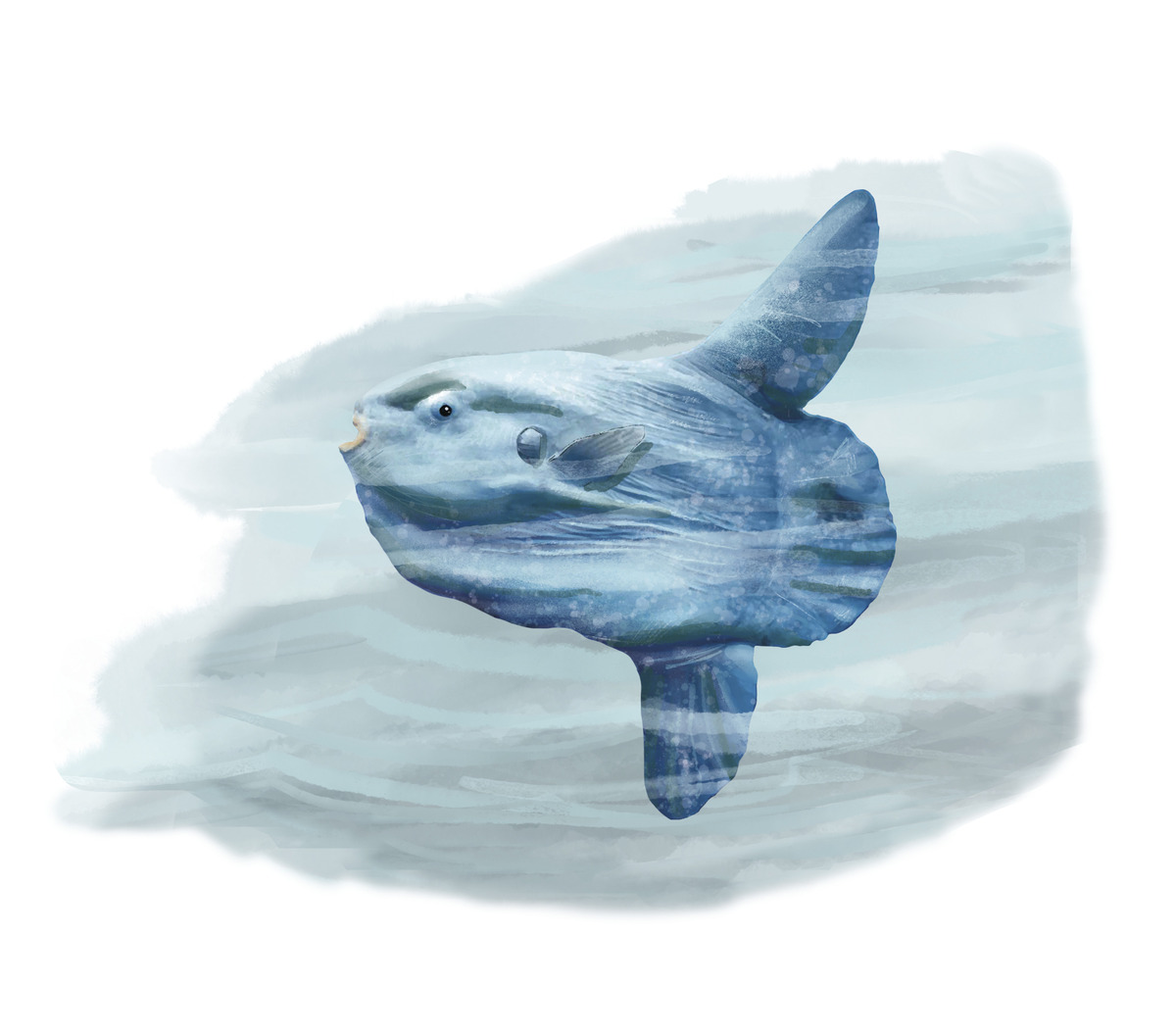 Second alt text