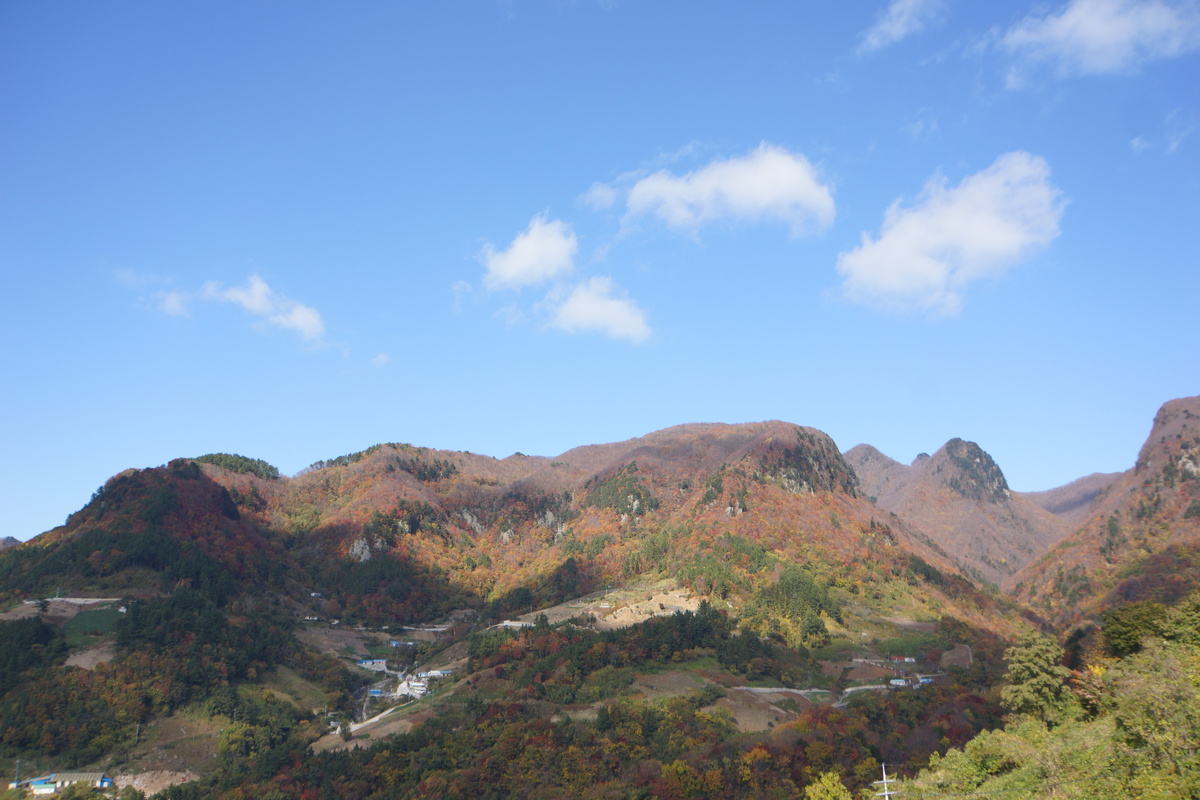 섹션탑기사사진