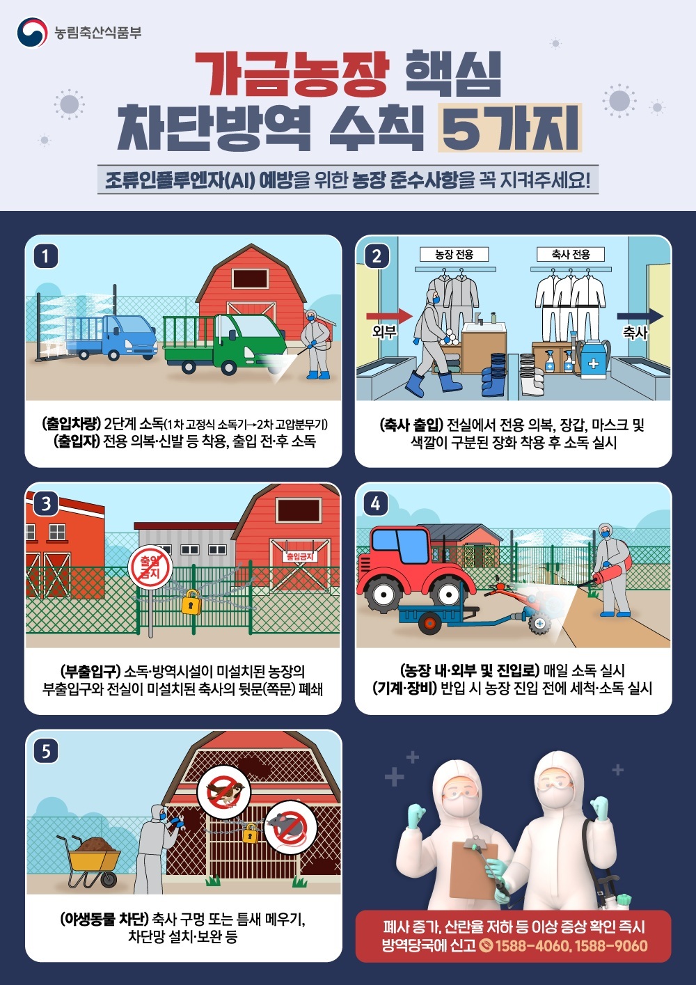 섹션탑기사사진
