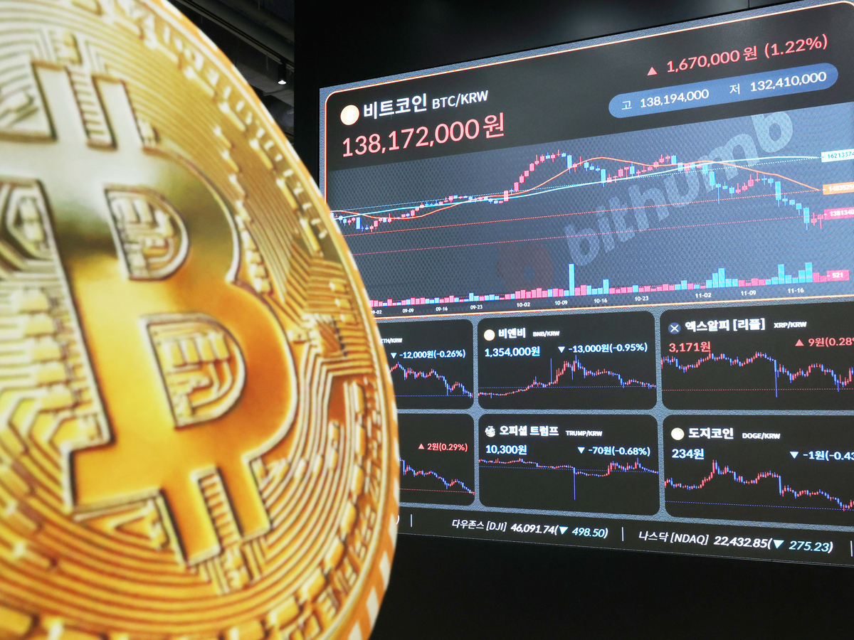 섹션탑기사사진