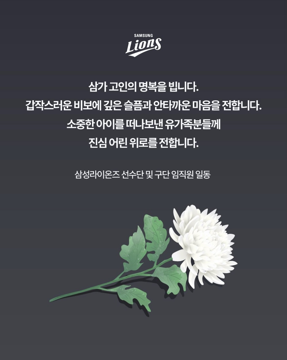 Second alt text